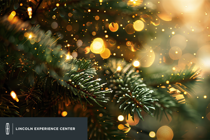 Light Up the Season with Lincoln Experience Center